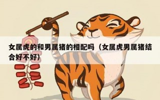 男猪配女虎婚后会幸福吗?男猪和女虎能不能结婚