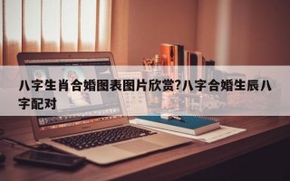 八字生肖合婚图表图片欣赏?八字合婚生辰八字配对