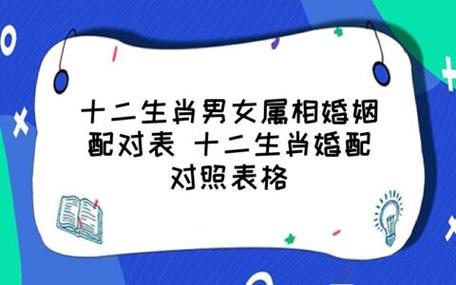 属牛人的婚姻大忌生肖配对?属牛人的婚姻和什么人最合适